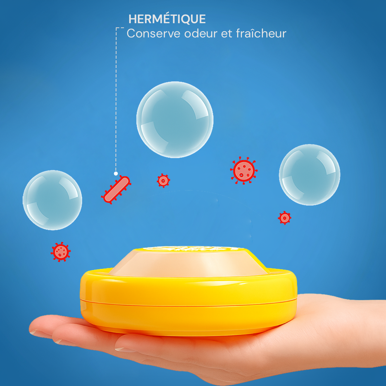 Boîtes à Légumes en Silicone