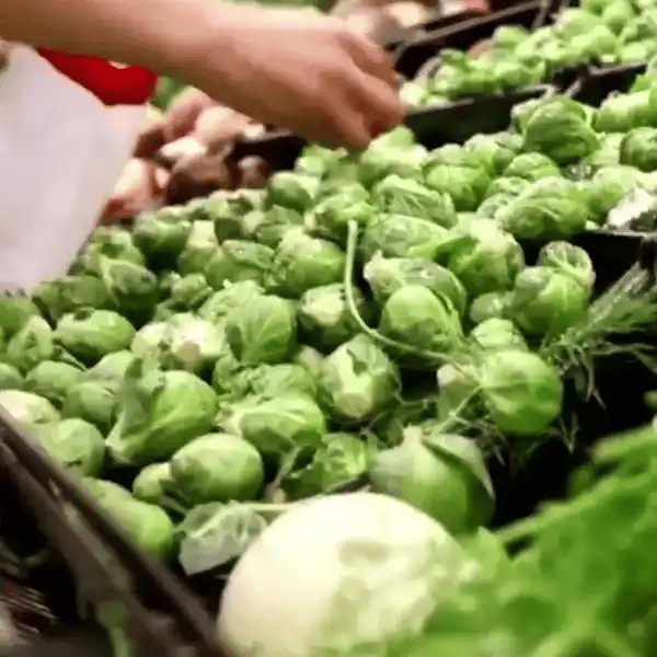 Sacs de Provisions en Maille